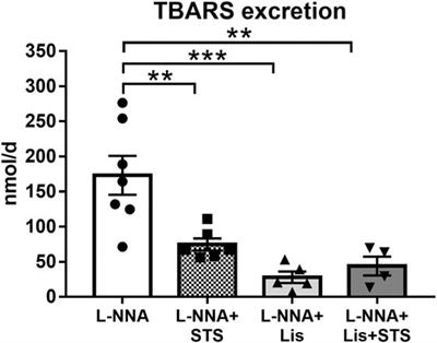 Cardiac Protection by Oral Sodium Thiosulfate in a Rat Model of L-NNA-Induced Heart Disease